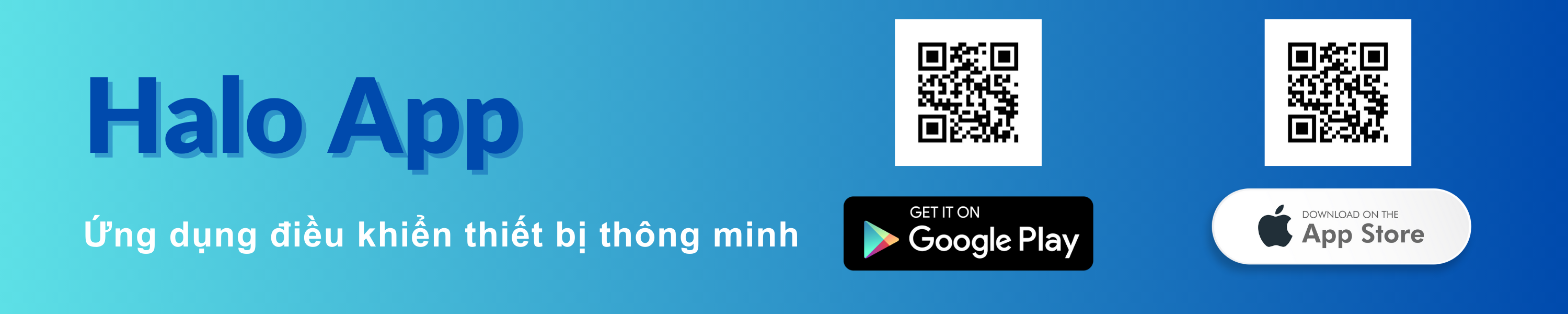 App QR